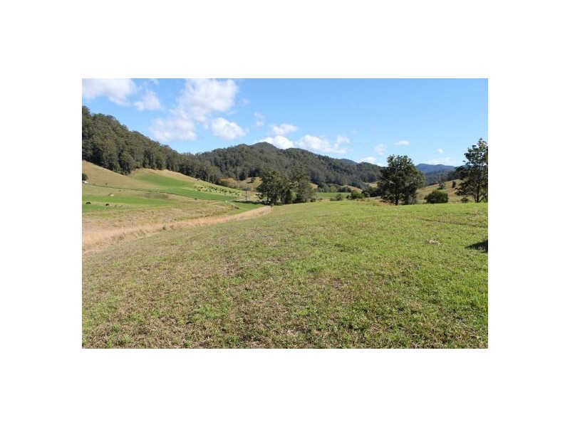 417 Friday’s Creek Rd, Upper Orara NSW 2450