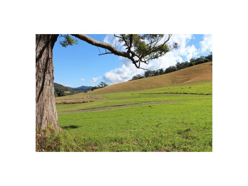 417 Friday’s Creek Rd, Upper Orara NSW 2450