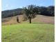417 Friday’s Creek Rd, Upper Orara NSW 2450