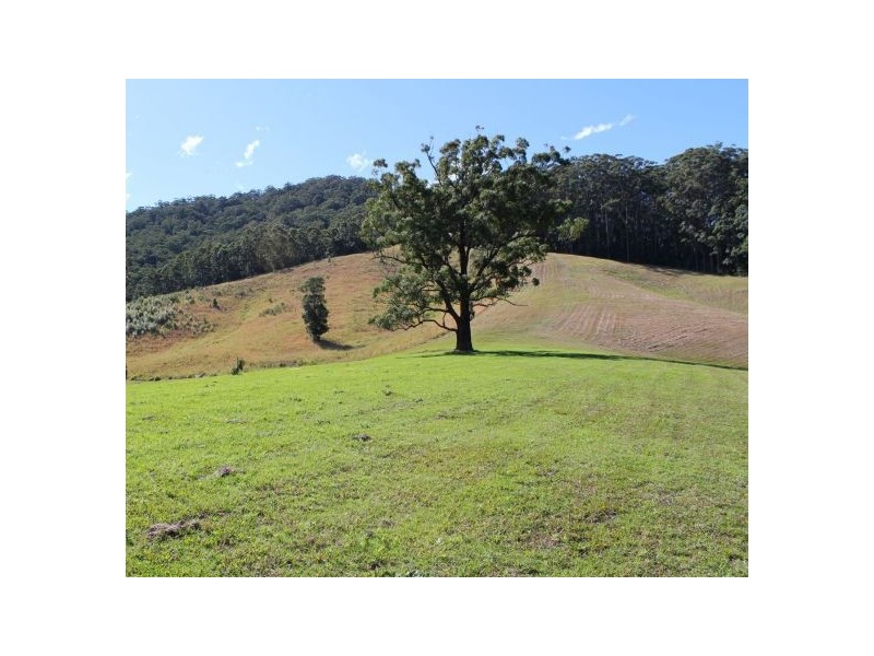 417 Friday’s Creek Rd, Upper Orara NSW 2450