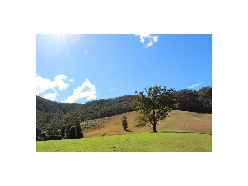 417 Friday’s Creek Rd, Upper Orara NSW 2450