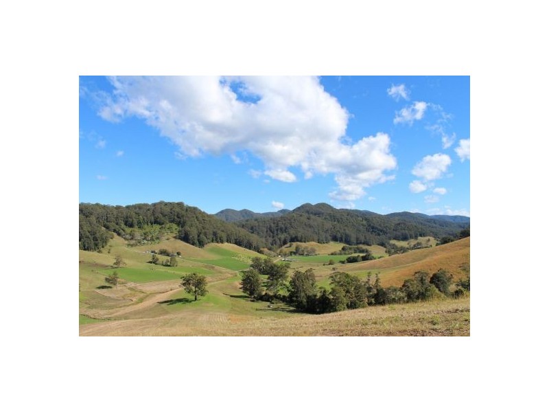 417 Friday’s Creek Rd, Upper Orara NSW 2450