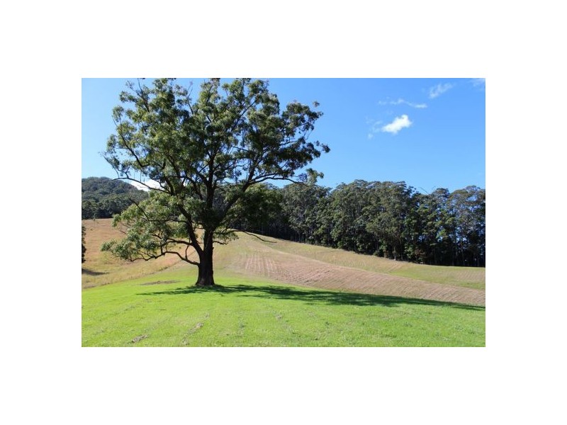 417 Friday’s Creek Rd, Upper Orara NSW 2450
