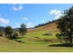 417 Friday’s Creek Rd, Upper Orara NSW 2450
