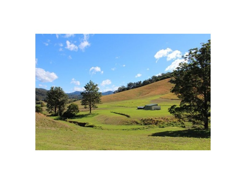 417 Friday’s Creek Rd, Upper Orara NSW 2450