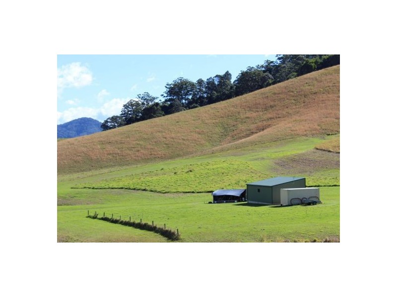 417 Friday’s Creek Rd, Upper Orara NSW 2450