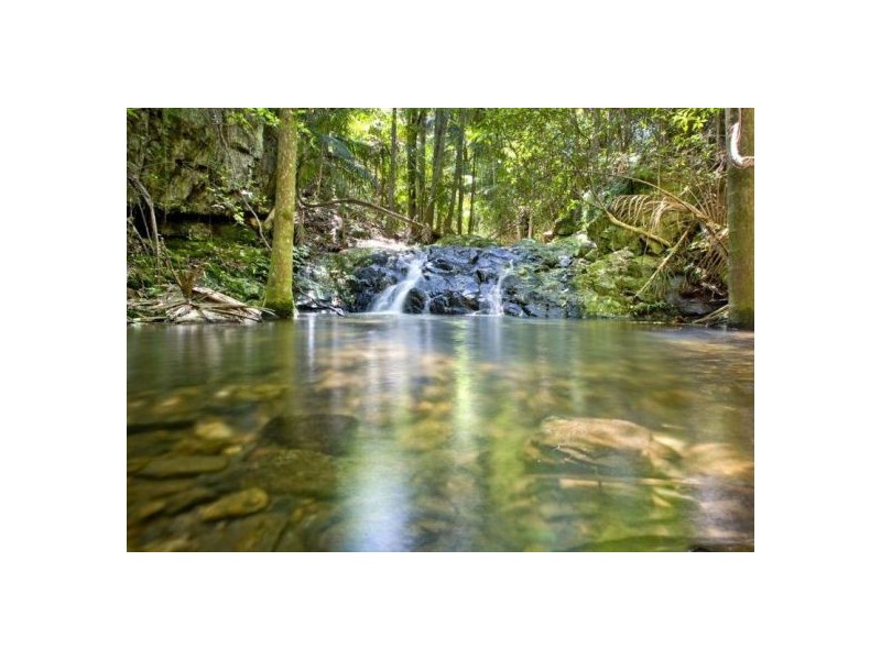 417 Friday’s Creek Rd, Upper Orara NSW 2450