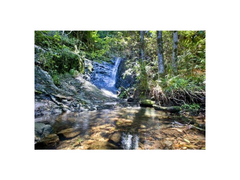 417 Friday’s Creek Rd, Upper Orara NSW 2450