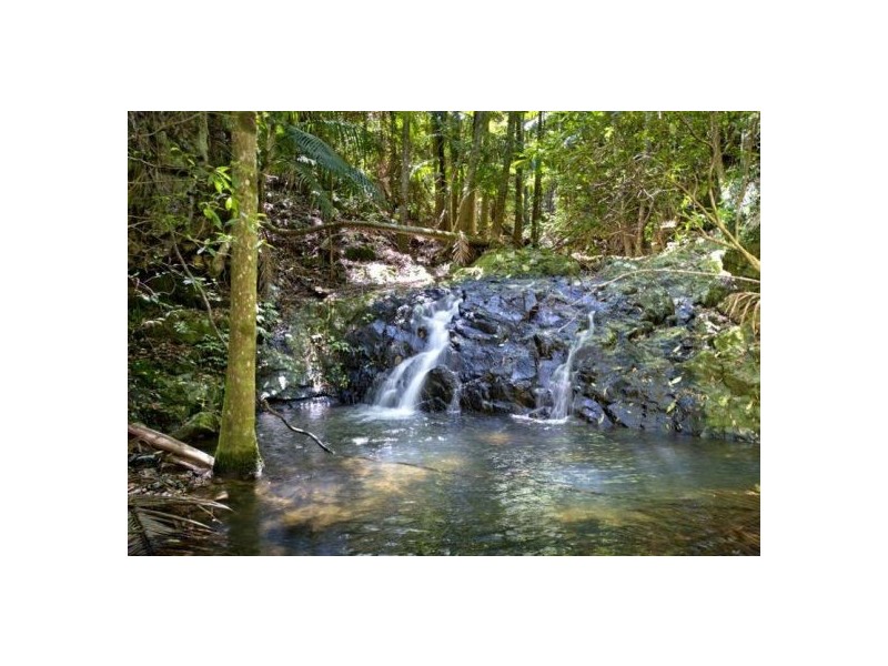 417 Friday’s Creek Rd, Upper Orara NSW 2450