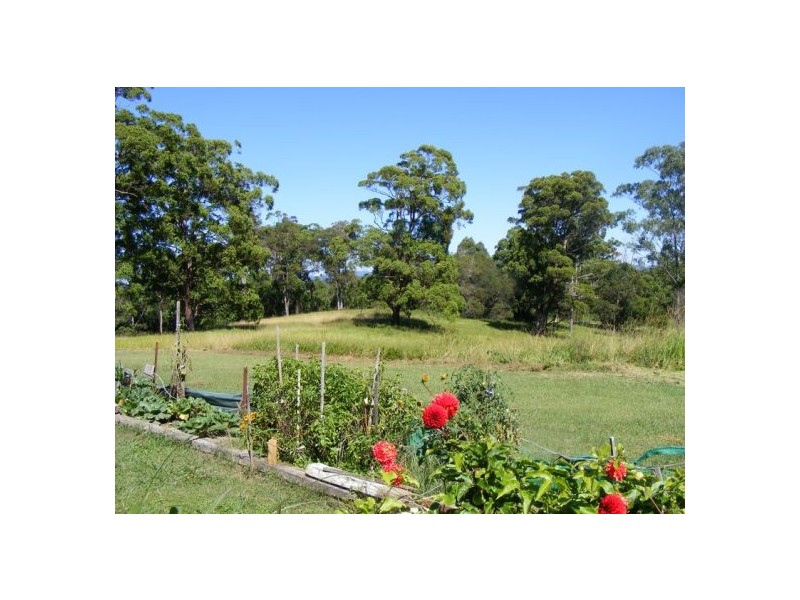 220 Tuckers Rock Road, Repton NSW 2454