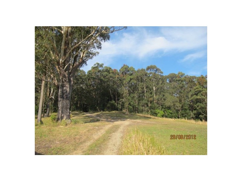 220 Tuckers Rock Road, Repton NSW 2454
