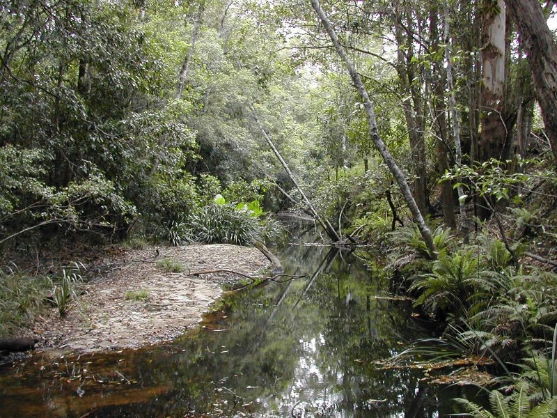 715 Valery Road, Bellingen NSW 2454