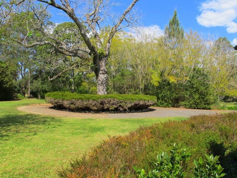 52 Buffer Creek Road, Bellingen NSW 2454