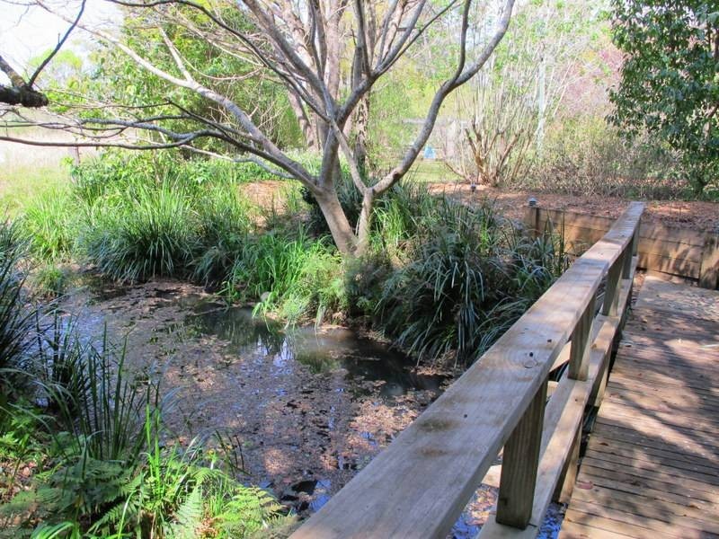 52 Buffer Creek Road, Bellingen NSW 2454