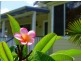 10 Rawson St, Bellingen NSW 2454