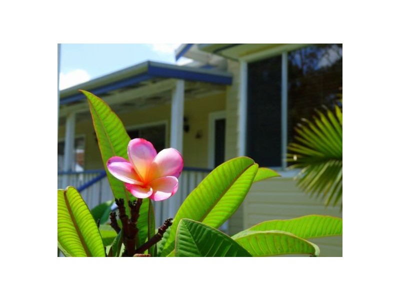10 Rawson St, Bellingen NSW 2454