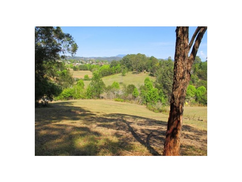 64 Hydes Creek Road, Bellingen NSW 2454