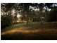 290 Roses Rd, Gleniffer NSW 2454