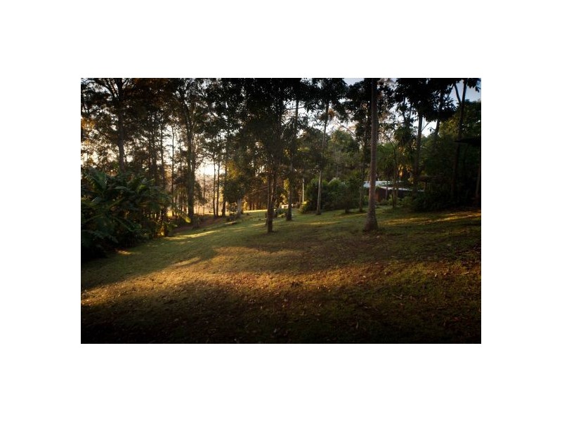 290 Roses Rd, Gleniffer NSW 2454