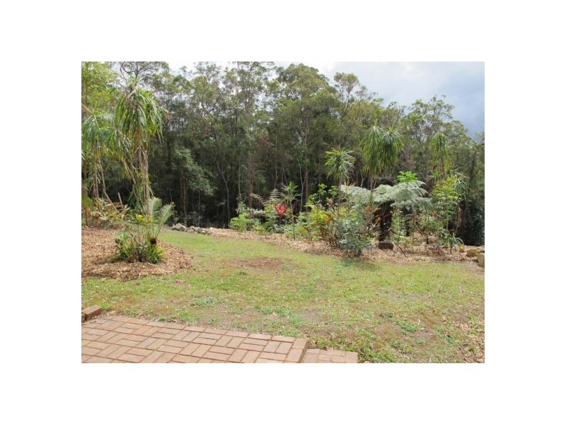 300 Roses Road, Bellingen NSW 2454