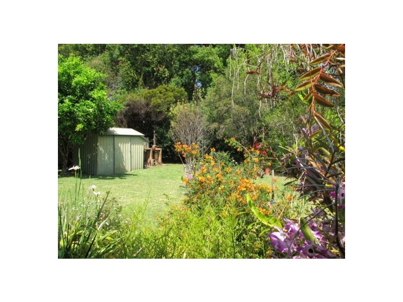 Bellingen NSW 2454