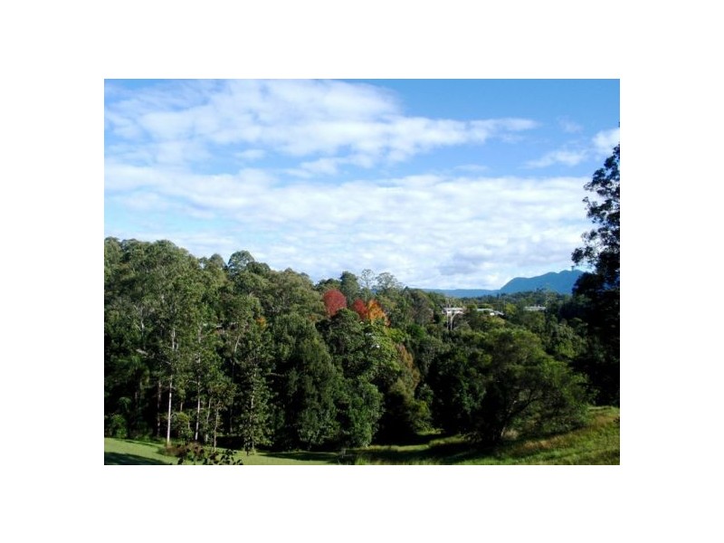 24 Endeavour Dr, Bellingen NSW 2454