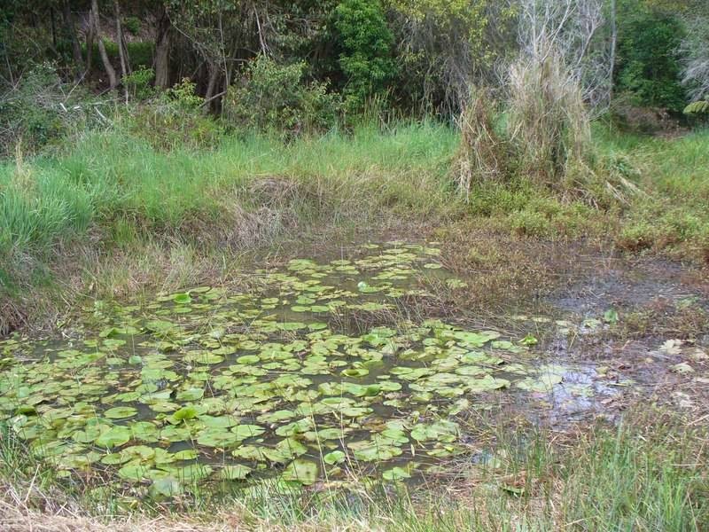 120 Mount St, Fernmount NSW 2454