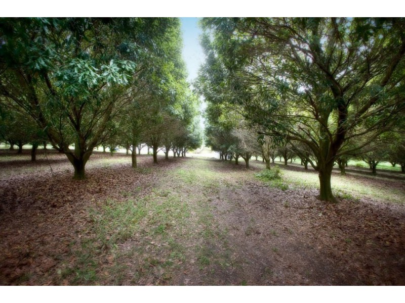 10 Osprey Drive, Hungry Head, Urunga NSW 2455