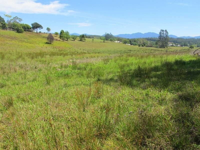 Lot 1, 45 Henry Boultwood Dr, Bellingen NSW 2454