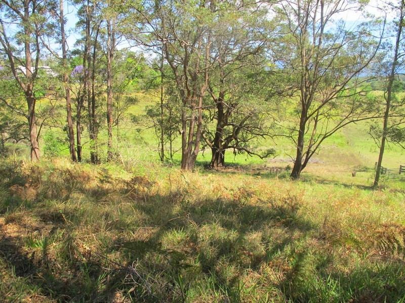 Lot 1, 45 Henry Boultwood Dr, Bellingen NSW 2454