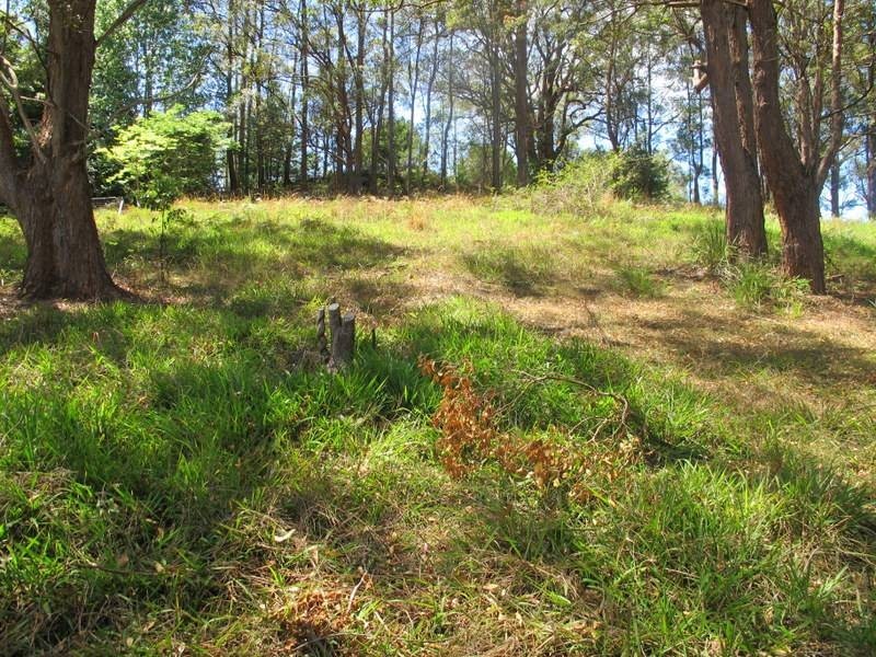 Lot 1, 45 Henry Boultwood Dr, Bellingen NSW 2454