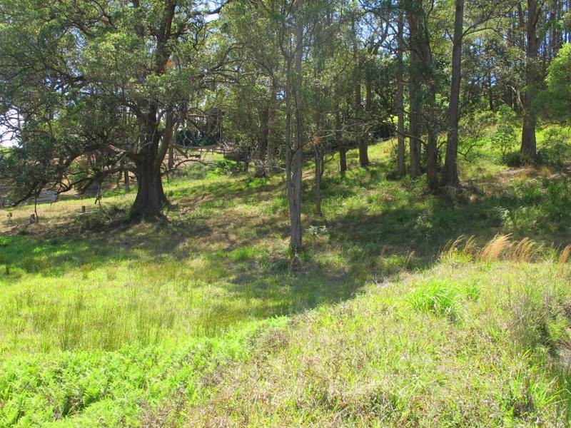 Lot 1, 45 Henry Boultwood Dr, Bellingen NSW 2454