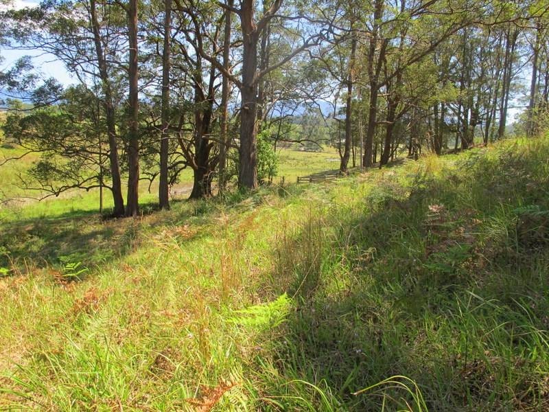 Lot 1, 45 Henry Boultwood Dr, Bellingen NSW 2454
