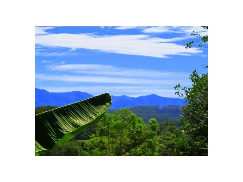 50 Mcdougall Place Fernmount, Bellingen NSW 2454
