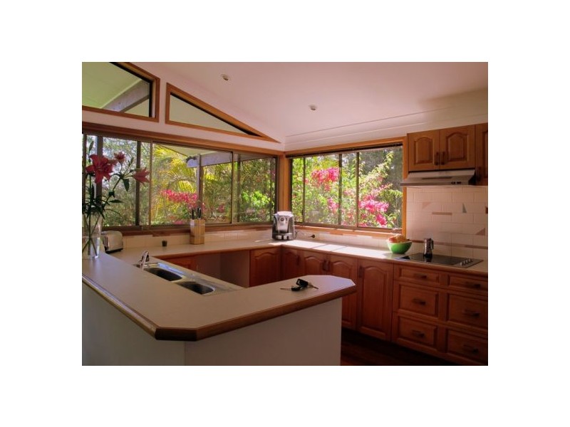 50 Mcdougall Place Fernmount, Bellingen NSW 2454