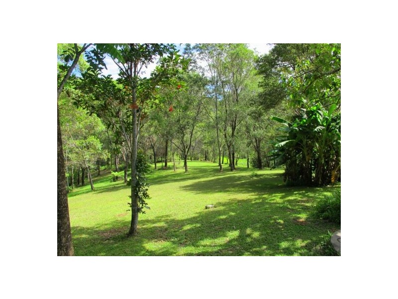 50 Mcdougall Place Fernmount, Bellingen NSW 2454