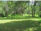 50 Mcdougall Place Fernmount, Bellingen NSW 2454