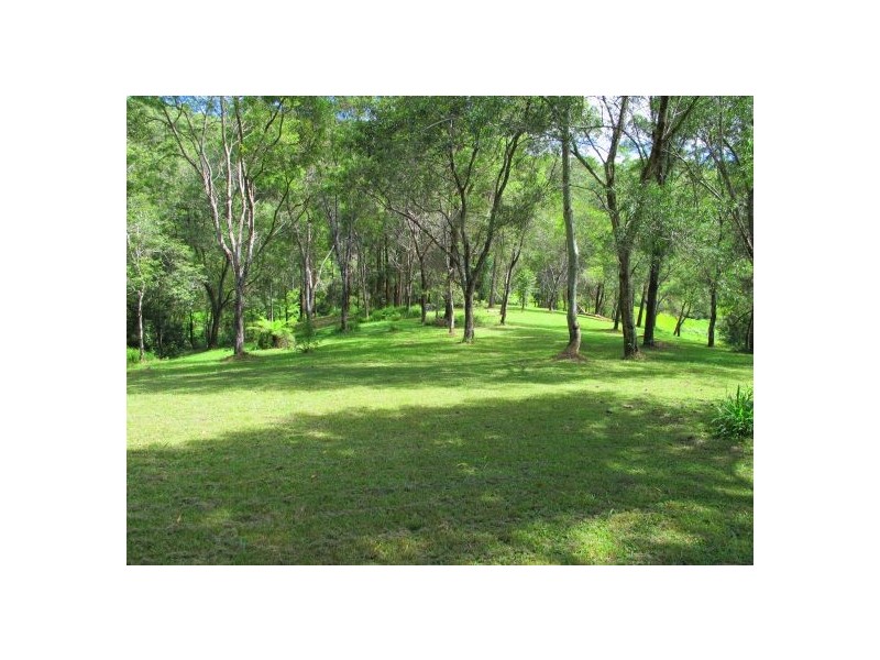 50 Mcdougall Place Fernmount, Bellingen NSW 2454