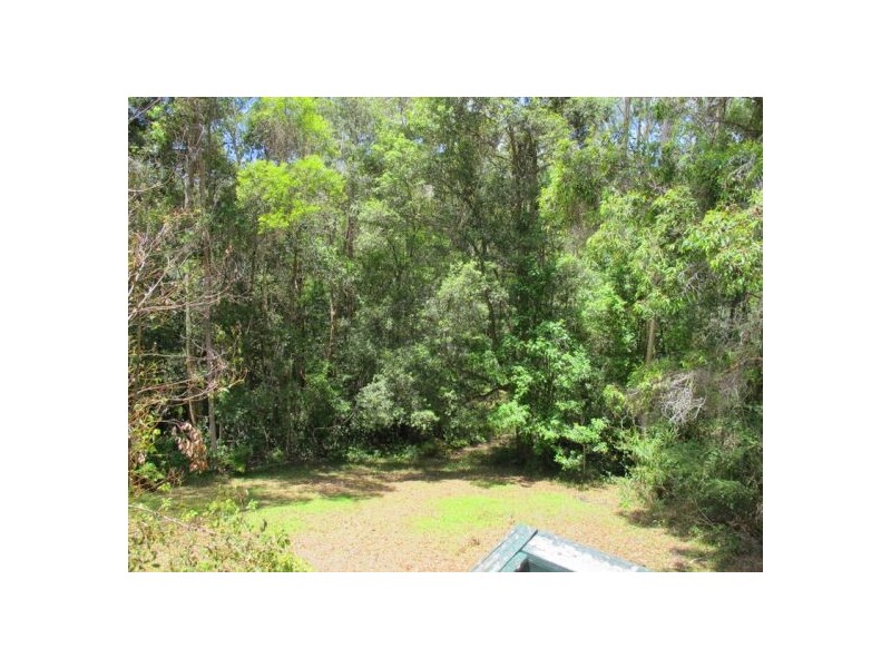 160 Martells Road, Bellingen NSW 2454