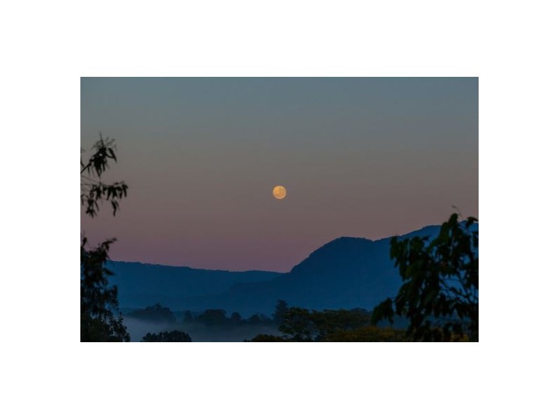 56 Lyon St, Bellingen NSW 2454