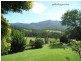 175 Darkwood Road Thora, Bellingen NSW 2454