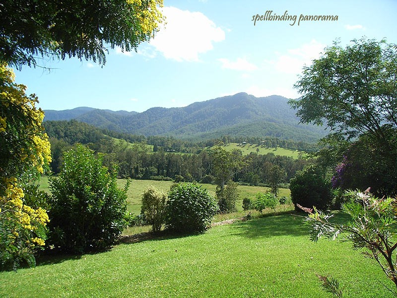 175 Darkwood Road Thora, Bellingen NSW 2454