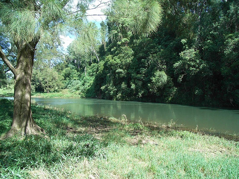 175 Darkwood Road Thora, Bellingen NSW 2454