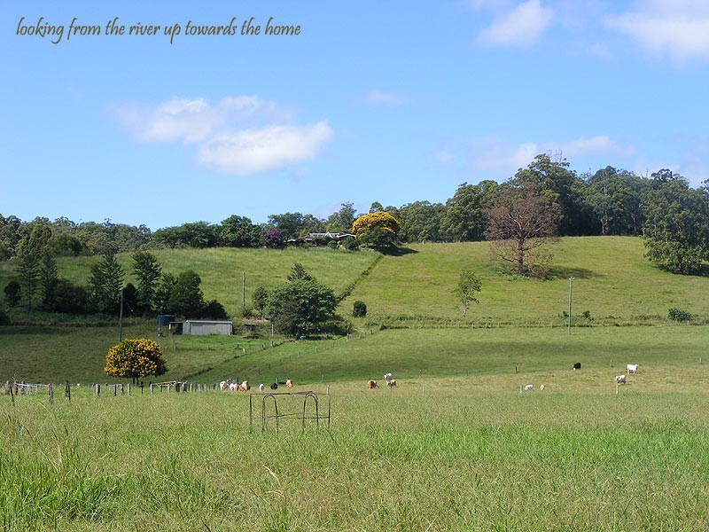175 Darkwood Road Thora, Bellingen NSW 2454