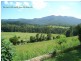 175 Darkwood Road Thora, Bellingen NSW 2454