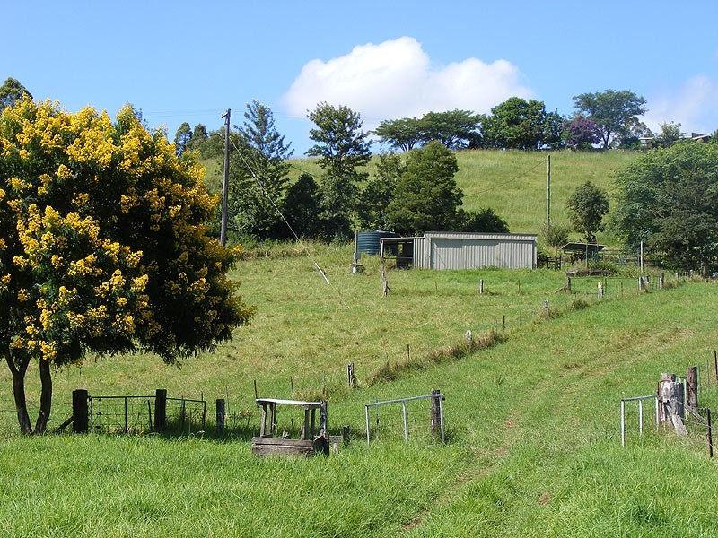 175 Darkwood Road Thora, Bellingen NSW 2454