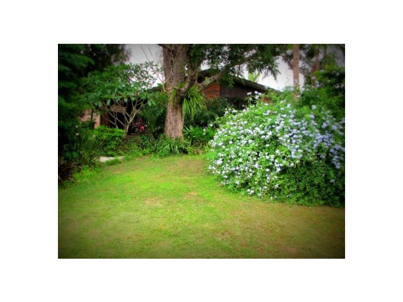 17 Dowle St, Bellingen NSW 2454