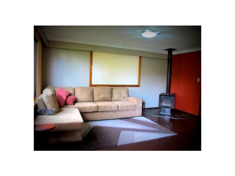 17 Dowle St, Bellingen NSW 2454