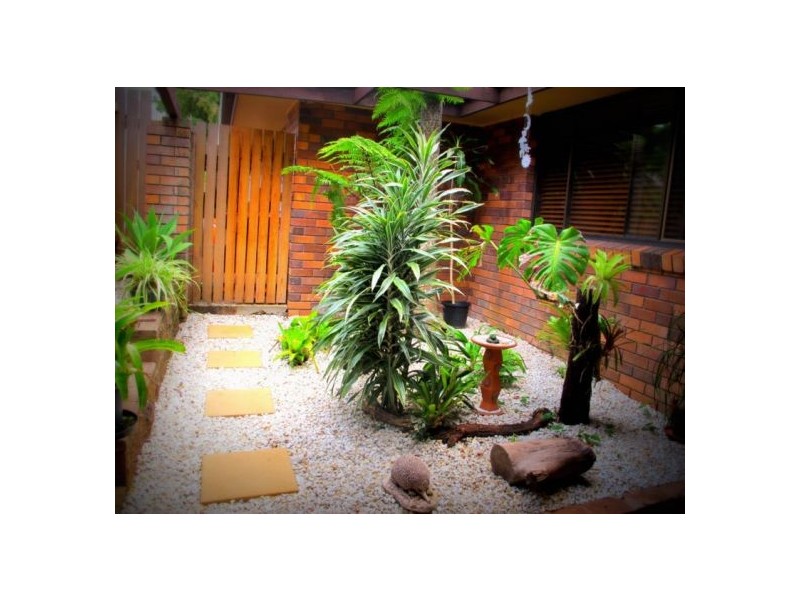 17 Dowle St, Bellingen NSW 2454