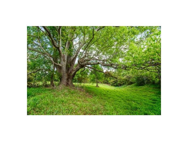 Lot 1/1-5 Hyde St, Fernmount NSW 2454